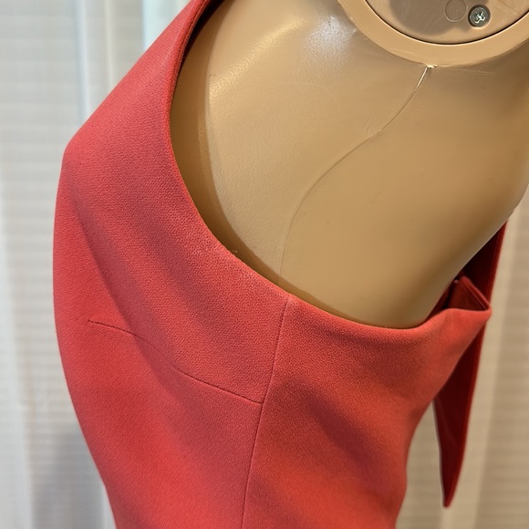 Safiyaa Carpianne Cape Dress - Picture 11 of 15